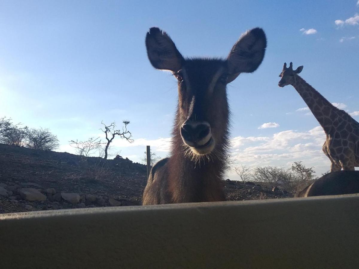 Uitkyk Guest Farm Otel Usakos Dış mekan fotoğraf