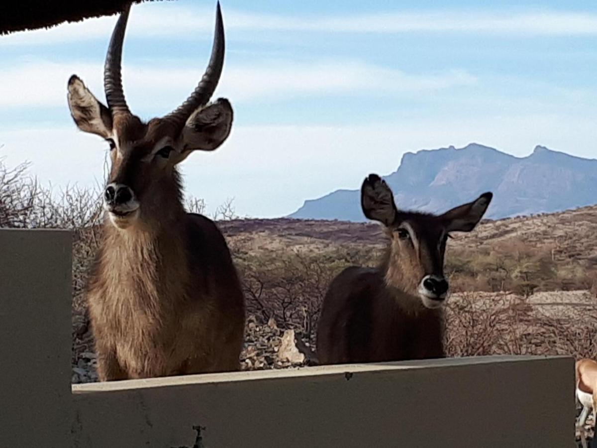 Uitkyk Guest Farm Otel Usakos Dış mekan fotoğraf