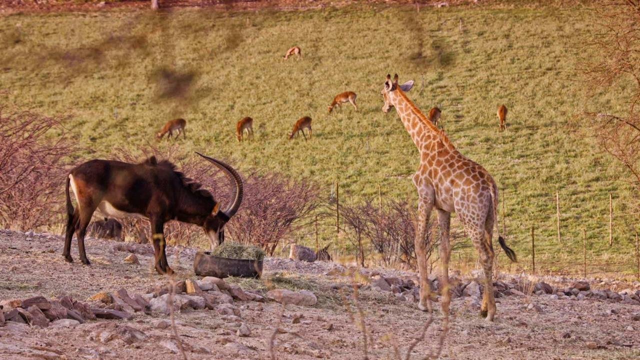 Uitkyk Guest Farm Otel Usakos Dış mekan fotoğraf