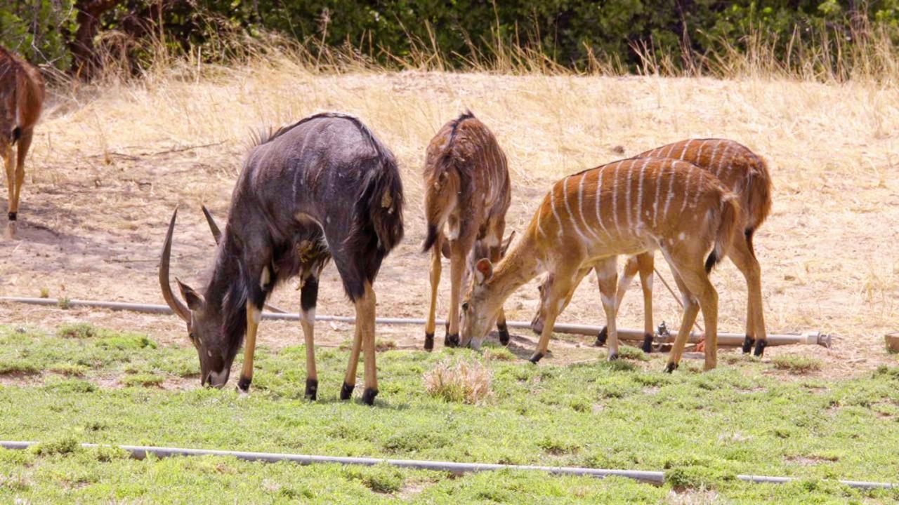 Uitkyk Guest Farm Otel Usakos Dış mekan fotoğraf